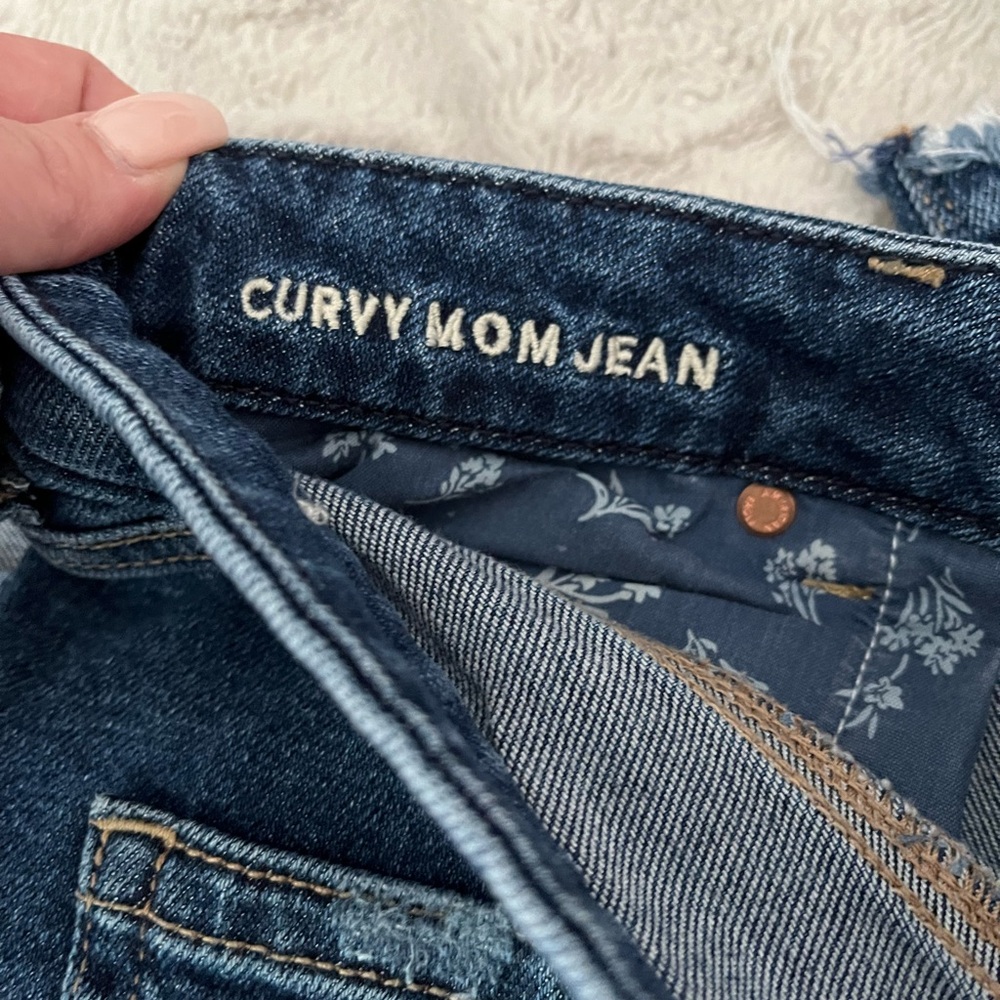 American Eagle Curvy Mom Jean